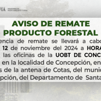 Aviso de Remate de Producto Forestal en Concepción - Santa Cruz, 12 de noviembre de 2024
